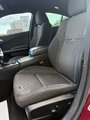 Dodge Charger SXT 2019