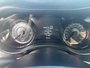 2023 Dodge Charger R/T Daytona last call edition Daytona last call edition with 5.7 hemi