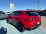 Dodge HORNET R/T 2024