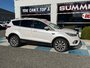 2017 Ford ESCAPE TITANIUM AS TRADED