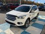 2017 Ford ESCAPE TITANIUM AS TRADED