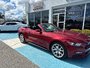 2015 Ford Mustang EcoBoost Premium 50th  anniversary edition This 50th anniversary edition convertible is in mint condition