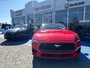 2025 Ford Mustang Eco sport  premium
