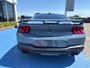 2025 Ford Mustang 5.0 with GT performance package Recaro seats , active velvet exhaust, bronze appearance package upgraded sound system