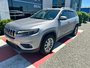 Jeep Cherokee NORTH 2019