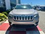 Jeep Cherokee NORTH 2019