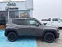2020 Jeep Renegade Altitude