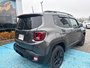 2020 Jeep Renegade Altitude