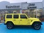 2023 Jeep Wrangler Sahara Colour matching top