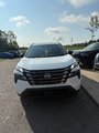 2025 Nissan Rogue MIDNIGHT EDITION