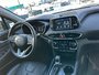 2020 Hyundai Santa Fe Preferred-17