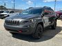 Jeep Cherokee Trailhawk 2023-31
