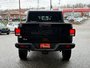 Jeep Gladiator Willys 2023-3