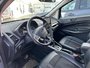 2020 Ford EcoSport SES-9