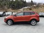 2019 Ford Escape SEL-7