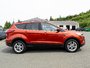 2019 Ford Escape SEL-6