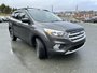 2019 Ford Escape SE-2