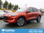 2020 Ford Escape SEL-0