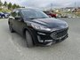2021 Ford Escape SE-2