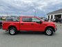 2020 Ford F-150-3
