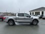2021 Ford F-150-3