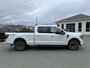 2022 Ford F-150-3