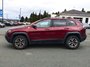 2019 Jeep Cherokee Trailhawk Elite