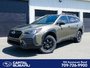 2023 Subaru Outback Wilderness-0