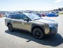 2023 Subaru Outback Wilderness-5