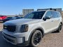2023 Kia Telluride X-Line AWD-14