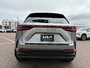 2022 Lexus NX350 AWD-3