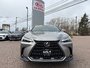 2022 Lexus NX350 AWD-7