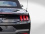 2024 Ford Mustang GT PREMIUM GT PERFORMANCE PACK 1 OWNER NO CARFAX CLAIM