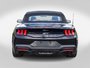 2024 Ford Mustang GT PREMIUM GT PERFORMANCE PACK 1 OWNER NO CARFAX CLAIM
