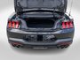 2024 Ford Mustang GT PREMIUM GT PERFORMANCE PACK 1 OWNER NO CARFAX CLAIM