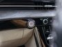 2023 Kia Carnival EX+ AUTOM CUIR BLEUE 1 OWNER NO CARFAX CLAIM