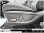 2020 Hyundai Palisade Luxury LOCAL TRADE | CLEAN CARFAX | HANDS FREE POWER TAILGATE