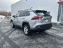 2019 Toyota RAV4 Hybrid LE-2