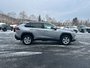 2019 Toyota RAV4 Hybrid LE-6