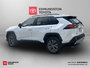 2023 Toyota RAV4 HYBRID Hybrid Limited-2