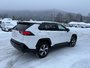 2025 Toyota RAV4 HYBRIDE BRANCHABLE SE AWD SE-4