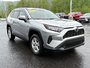 Toyota RAV4 LE AWD LE 2019-2