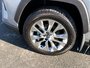 2025 Toyota RAV4 LIMITED AWD Limited-5