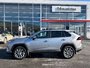 2025 Toyota RAV4 LIMITED AWD Limited-1