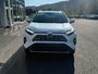 Toyota RAV4 Limited 2023-7