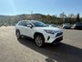 Toyota RAV4 Limited 2023-6