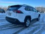 2019 Toyota RAV4 Hybrid XLE-4