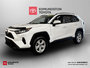 2019 Toyota RAV4 LE-0