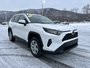 Toyota RAV4 LE 2020-6