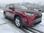 2020 Toyota RAV4 XLE-7